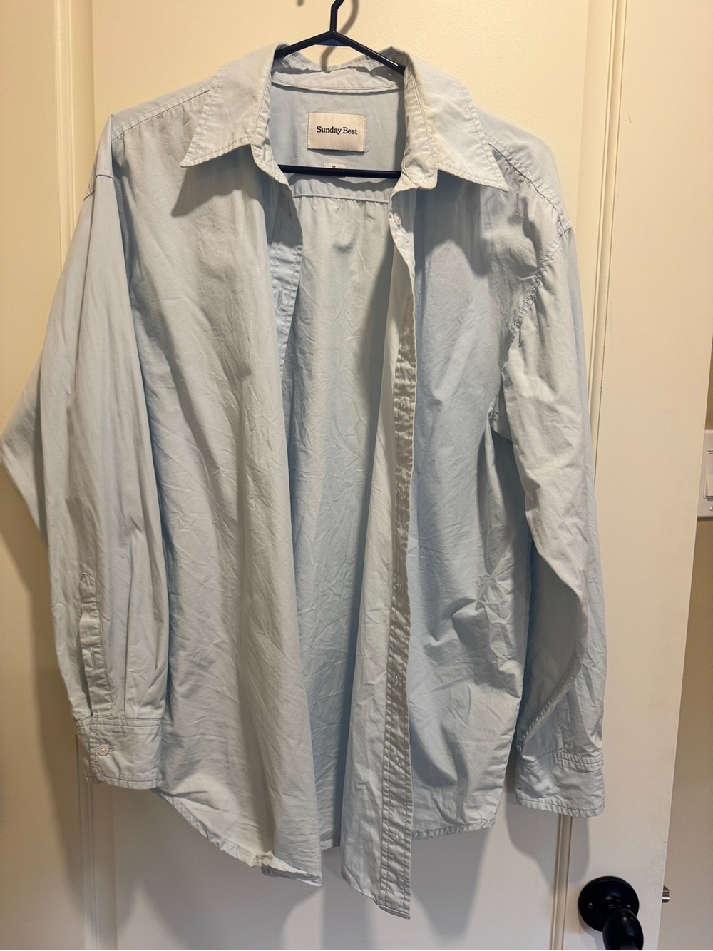 Aritzia Oversized Light Blue Button-Front Shirt